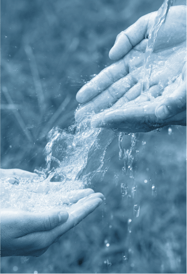 Madis - Mask group (2)