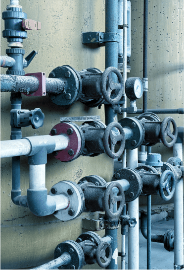 Madis - Mask group(18)